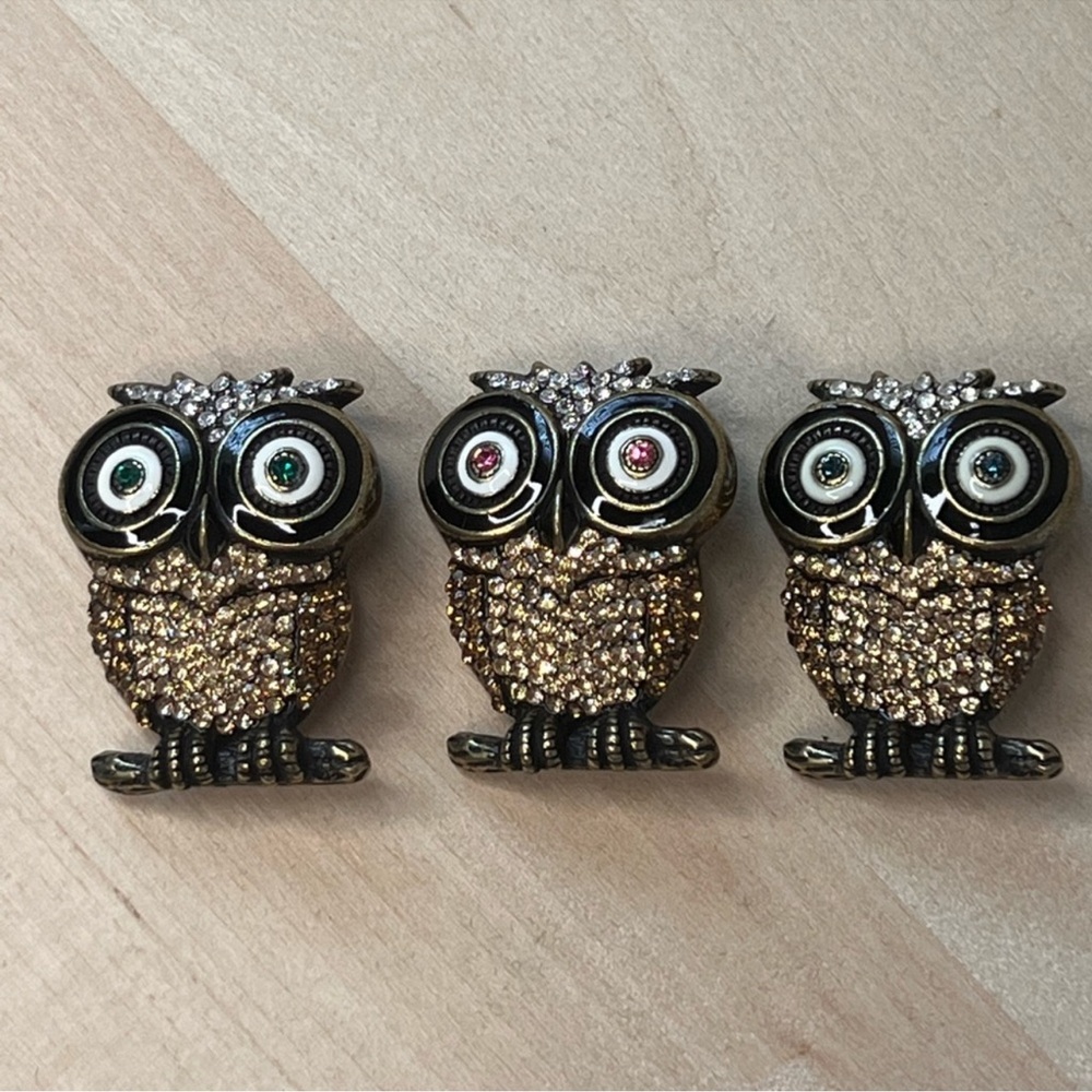 Rara Avis 3 small owl brooches